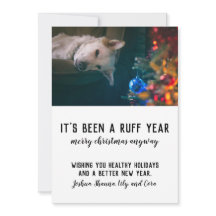 Ruff År 2020 - Julpett