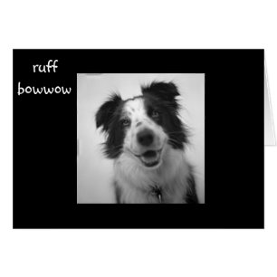 RUFF BOWWOW "40 BIRTHDAY" HÄLSNINGSKORT