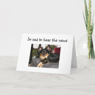 RUFF TURNING 40! BIRTHDAY CARD KORT