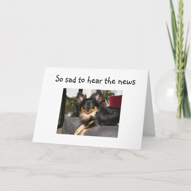 RUFF TURNING 40! BIRTHDAY CARD KORT (Framsida)