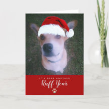 Ruff Year 2021 Rolig hund Pun Pet-julfoto