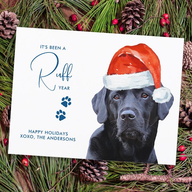 Ruff Year in Review Funny Labrador Retriever Hund Vykort (Skapare uppladdad)