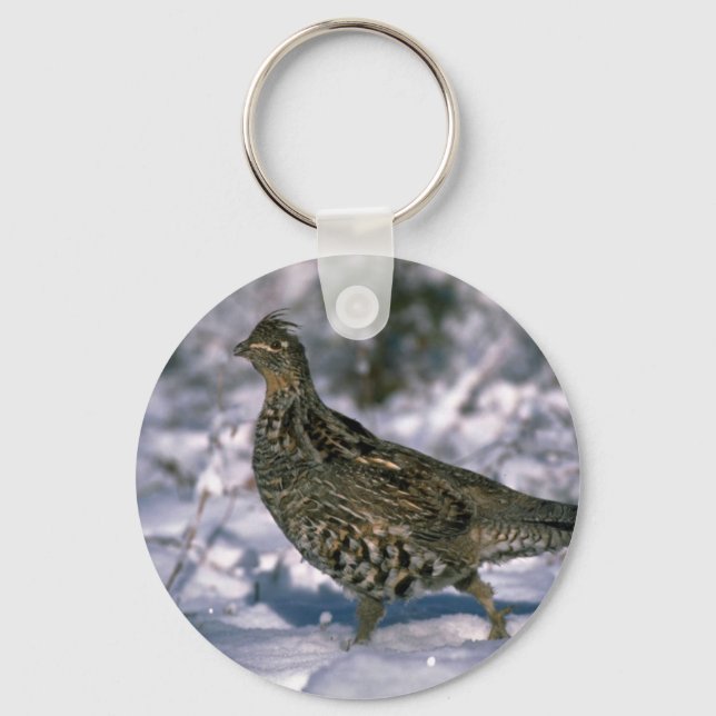 Ruffad grouse som står i snöstrum skogen nyckelring (Framsida)