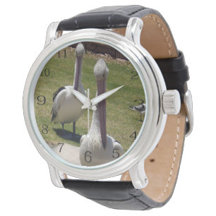 Ruffade fjädrar: Pelikaner med en attityd. Armbandsur