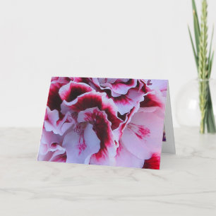 Ruffat Pelargonium-hälsningskort Kort