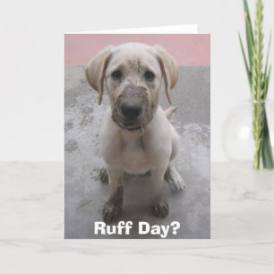 Ruffdag? Kort