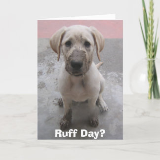 Ruffdag? Kort