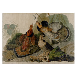 Ruffed Grouse Audubon Game Bird