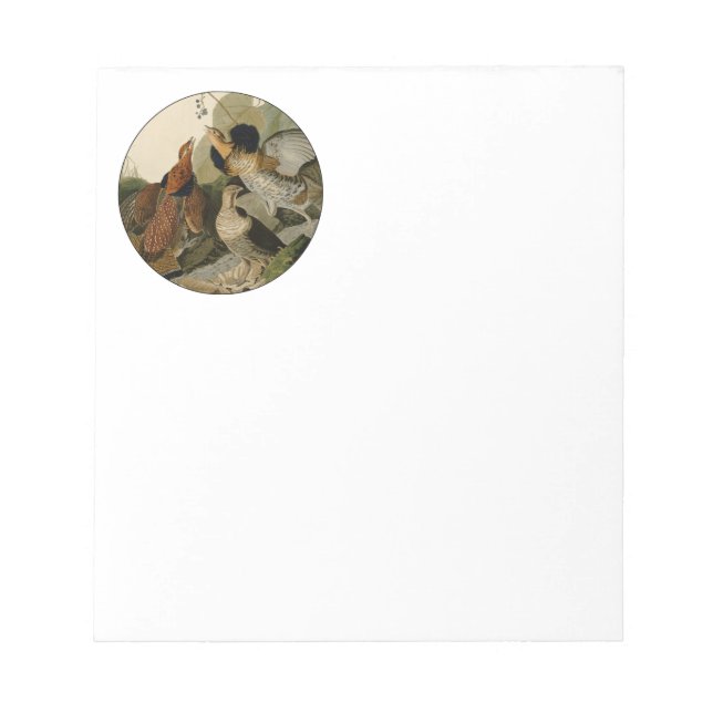 Ruffed Grouse Audubon Game Bird Anteckningsblock (Framsida)