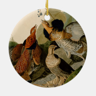 Ruffed Grouse Audubon Game Bird Julgransprydnad Keramik