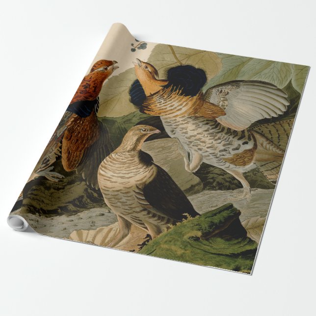 Ruffed Grouse Audubon Game Bird Presentpapper (Utrullad)