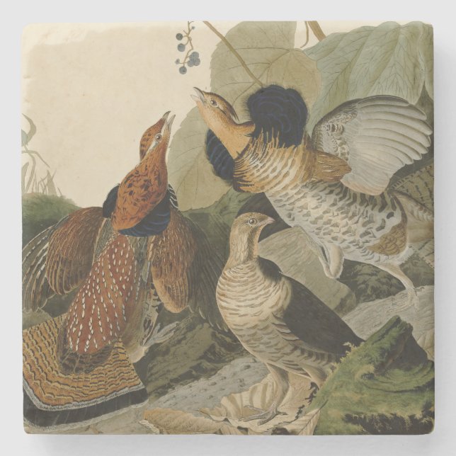 Ruffed Grouse Audubon Game Bird Stenunderlägg (Framsidan)
