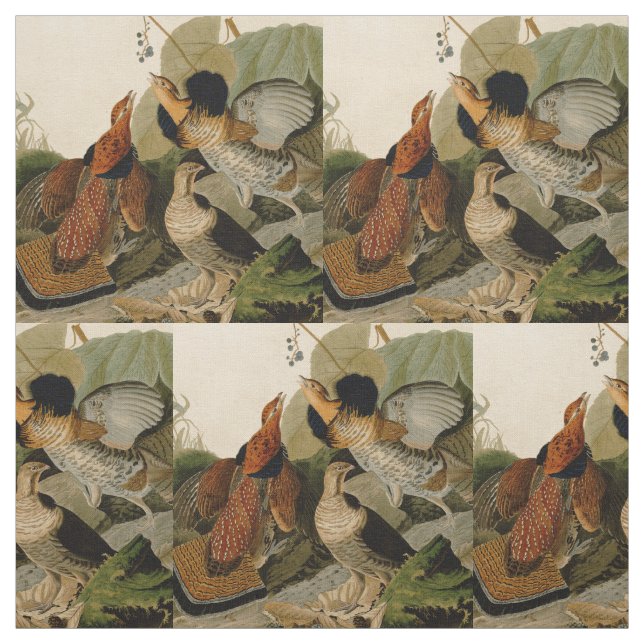 Ruffed Grouse Audubon Game Bird Tyg (Provkarta)