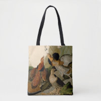 Ruffed Grouse Audubon Game Bird