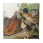 Ruffed Grouse Audubon Wildlife Painting Kakelplatta<br><div class="desc">Ruffed Grouse är en vacker fågelmålning skapat av John James Audubon på 1800-talet i tidigt. Denna medelstora skog är inhemsk i de skogar som sträcker sig från bergsområdena i Appalachian till Alaska och som bor i Nordamerika. Som icke-flyttande arter är den ofruktbara groorten känd för sitt speciella utseende, särskilt den...</div>
