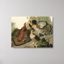 Ruffed Grouse av John Audubon Canvastryck