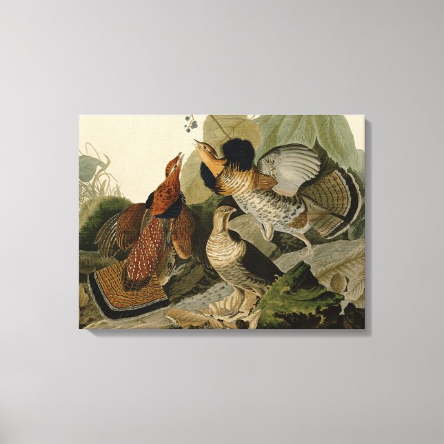 Ruffed Grouse av John Audubon Canvastryck (Framsida)