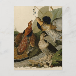 Ruffed Grouse av John Audubon Vykort
