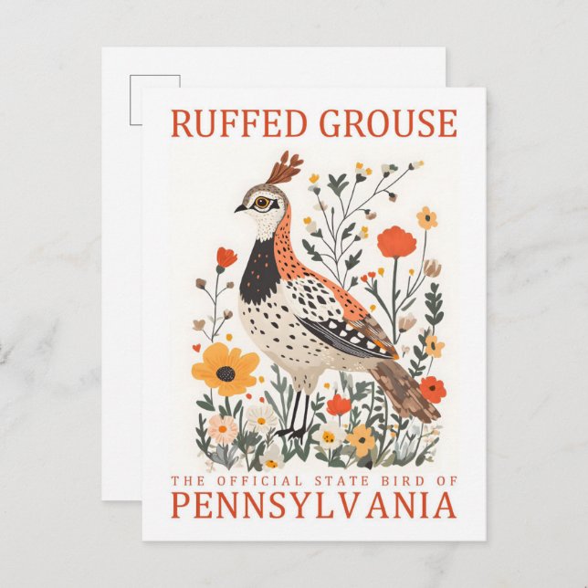 Ruffed Grouse Bird of Pennsylvania Travel Vykort (Fram/baksida)
