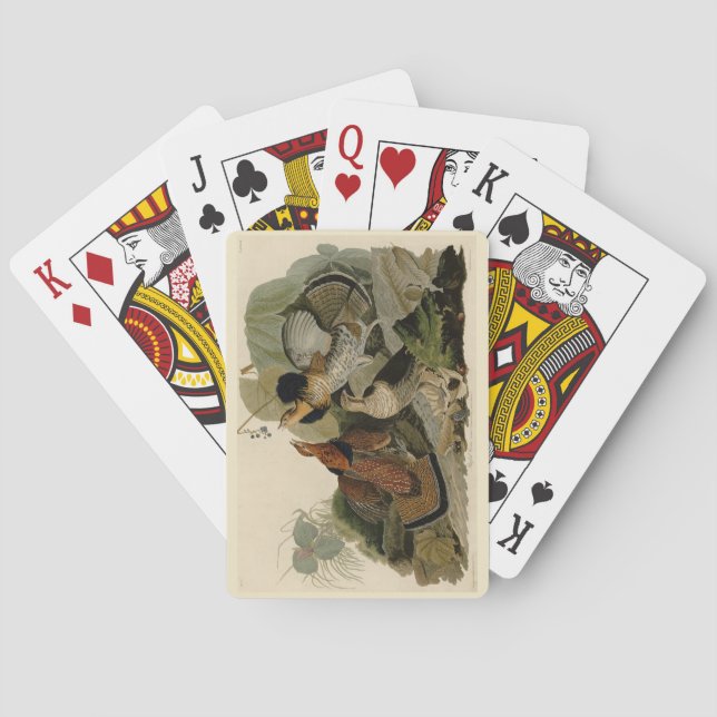 Ruffed Grouse - från Audubon's Birds of America Casinokort (Baksidan)