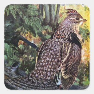 Ruffed Grouse i skogen Fyrkantigt Klistermärke