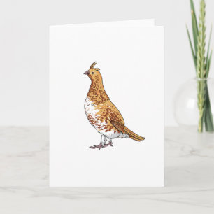 Ruffed Grouse State Bird of Pennsylvania Kort