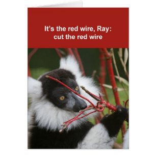Ruffed lemur-kort hälsningskort