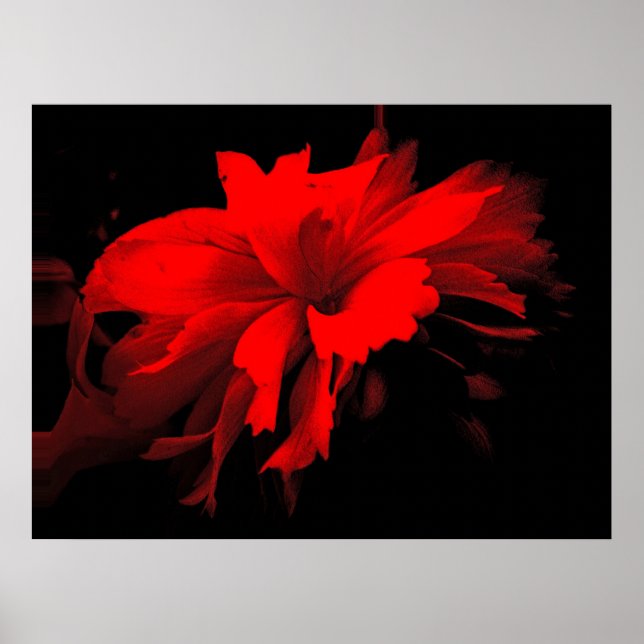 ruffel 2 poster (Framsidan)