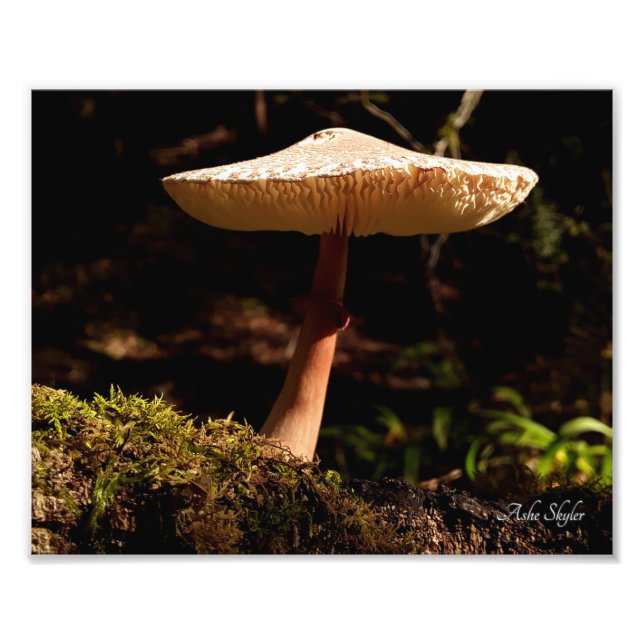 Ruffles Fototryck (Framsidan)