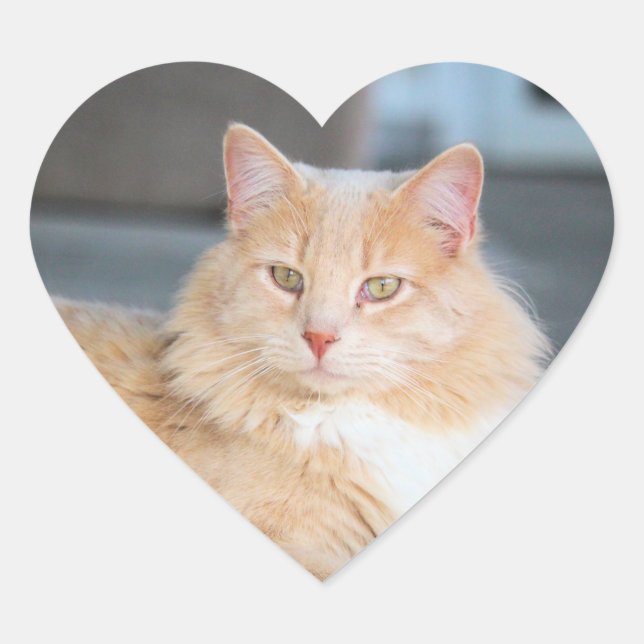 Ruffles Hjärtformat Klistermärke (Framsida)