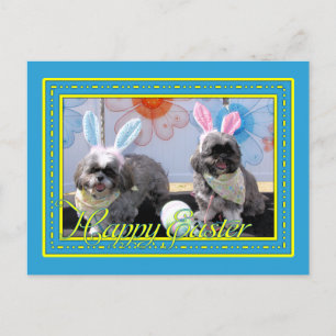 Ruffles_Riley_Shih_Tzu_Miller-2 Vykort