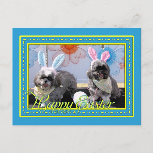 Ruffles_Riley_Shih_Tzu_Miller-2 Vykort (Framsida)