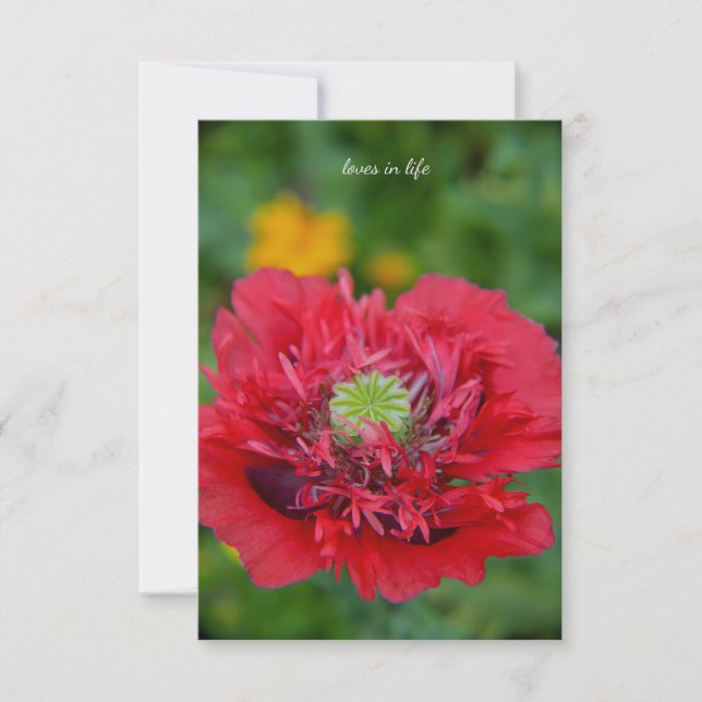 Ruffly Red Poppy Anteckningskort (Framsida)