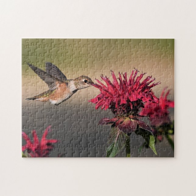 Rufous Bird Hummingbird Flight Vingar Flower Pussel (Horisontell)