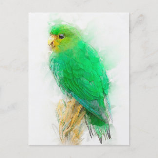 Rufous-fronted Parakeet Porträtt Vykort