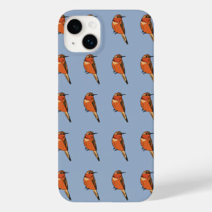 Rufous Hummingbird