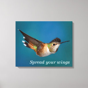 Rufous Hummingbird Canvastryck