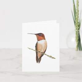 Rufous hummingbird card kort