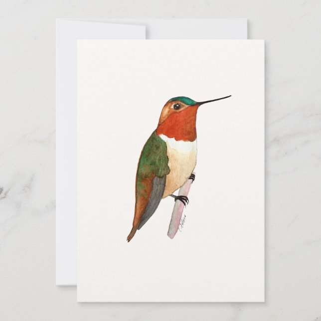 Rufous Hummingbird Flat Greeting Card Kort (Framsida)