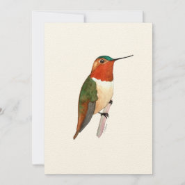 Rufous Hummingbird Flat Greeting Card Kort