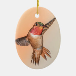 Rufous Hummingbird in Flight Monogram Namn Julgransprydnad Keramik