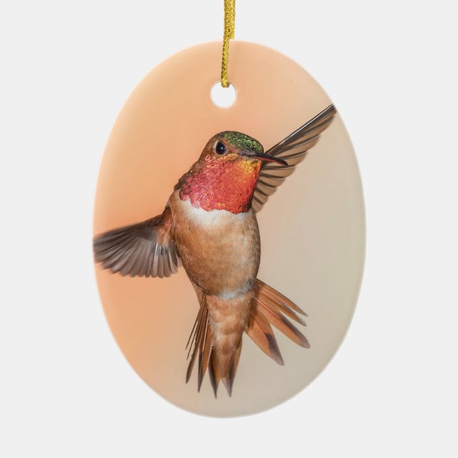 Rufous Hummingbird in Flight Monogram Namn Julgransprydnad Keramik (Framsidan)