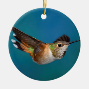 Rufous Hummingbird Julgransprydnad Keramik