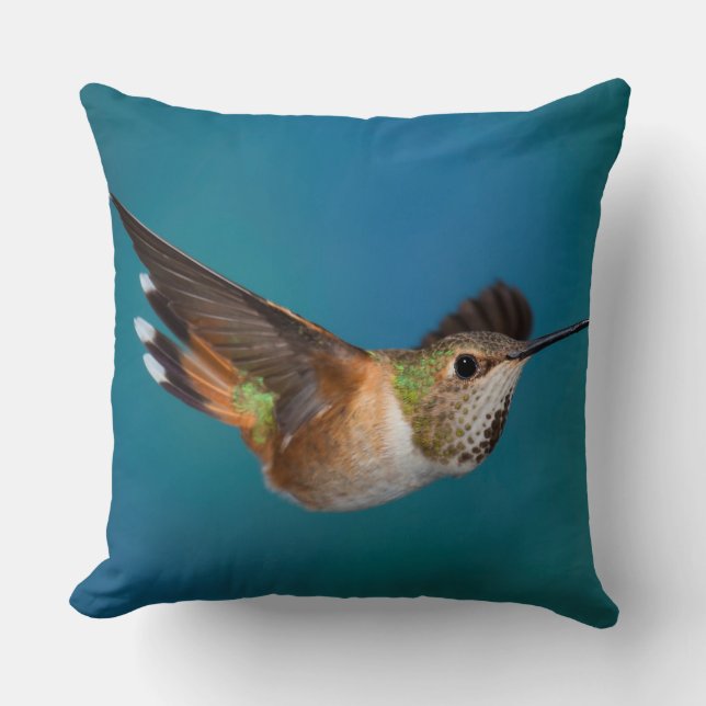 Rufous Hummingbird Kudde (Framsida)