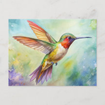 Rufous Hummingbird-målning