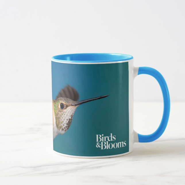 Rufous Hummingbird Mugg (Höger)