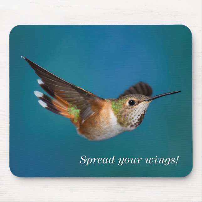 Rufous Hummingbird Musmatta (Framsidan)