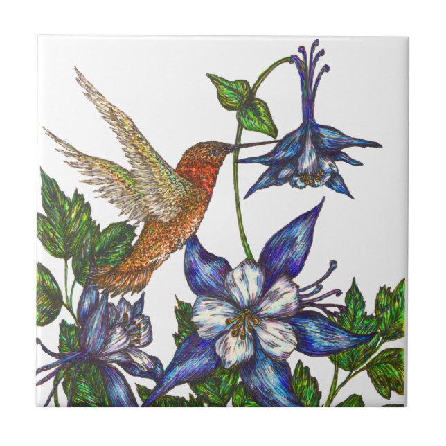 Rufous Hummingbird och Columbine Kakelplatta (Framsidan)