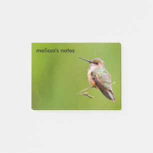 Rufous Hummingbird på California Lilac Gren Post-it Block