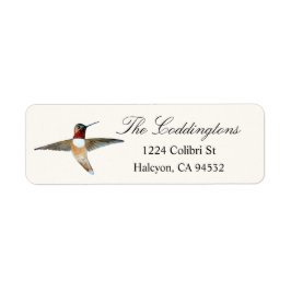 Rufous Hummingbird Returadress Etikett